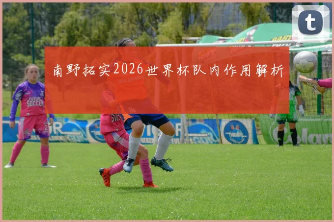 南野拓实2026世界杯队内作用解析
