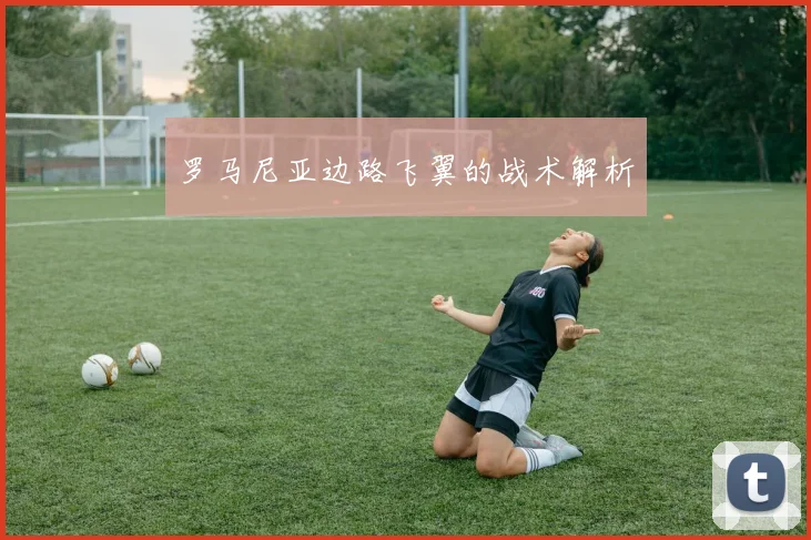 罗马尼亚边路飞翼的战术解析