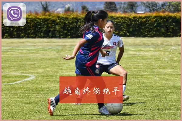 越南终场绝平