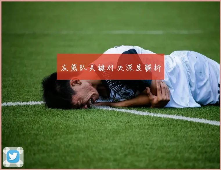 灰熊队关键对决深度解析