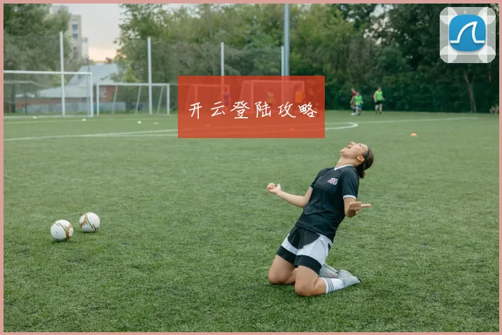 开云登陆攻略