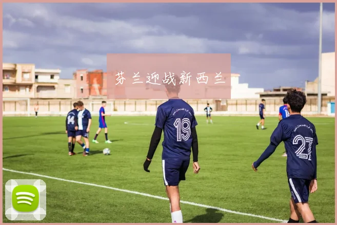 芬兰迎战新西兰