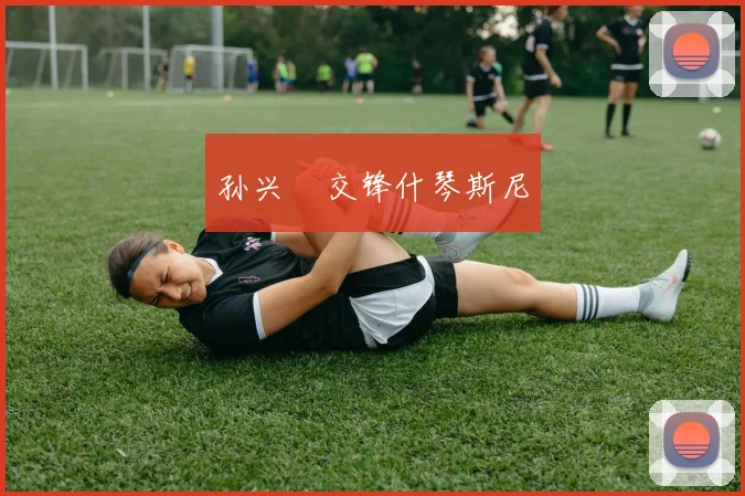 孙兴慜交锋什琴斯尼