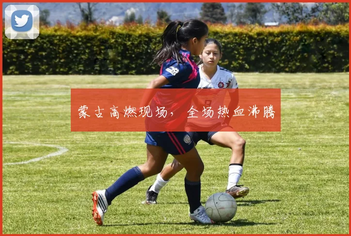 蒙古高燃现场，全场热血沸腾