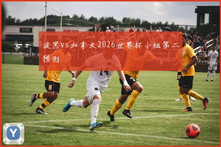 波黑vs加拿大2026世界杯小组第二预测