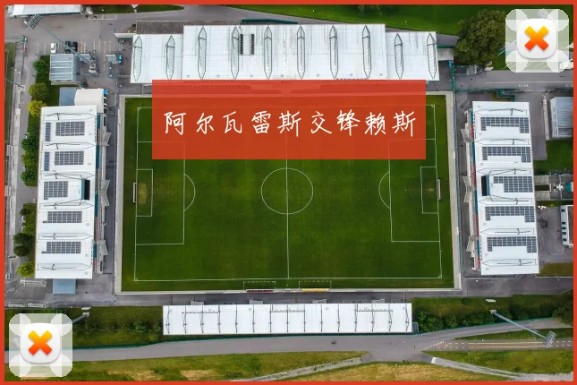 阿尔瓦雷斯交锋赖斯