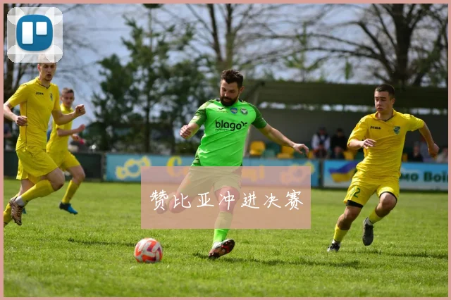 赞比亚冲进决赛