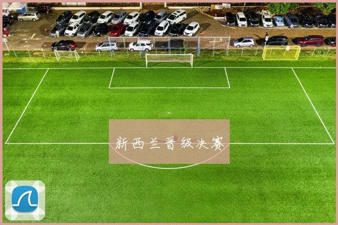 新西兰晋级决赛