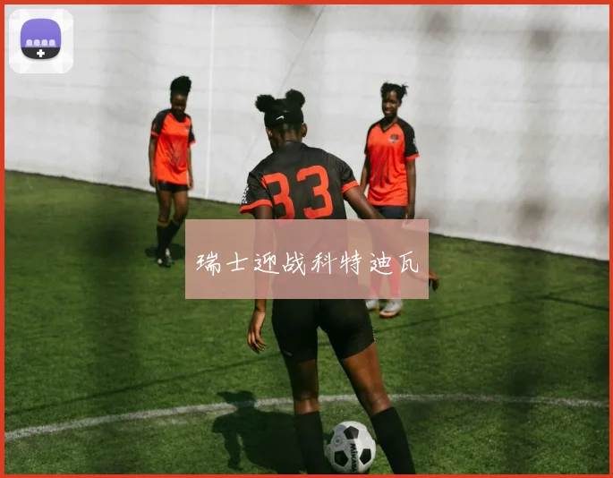 瑞士迎战科特迪瓦