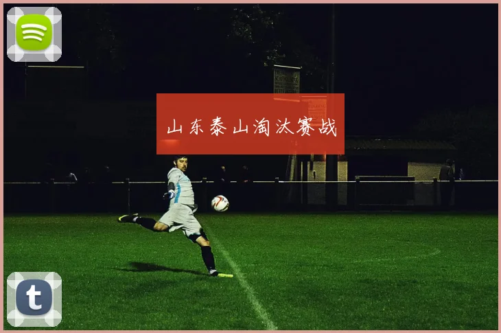山东泰山淘汰赛战
