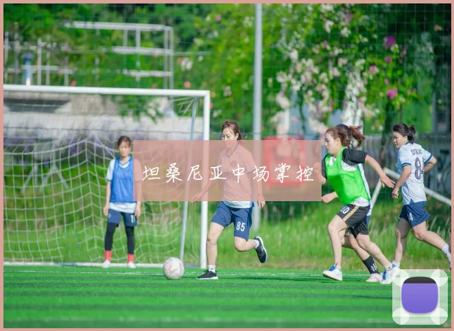 坦桑尼亚中场掌控