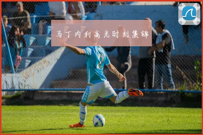 马丁内利高光时刻集锦